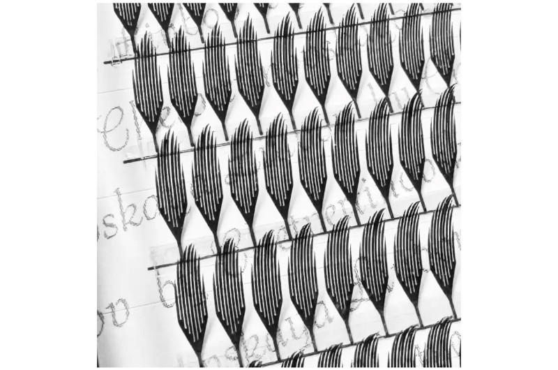 Pestañas en abanico tipo pluma  PLATINUM 0,03 C MIX 8–14 ММ