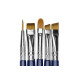 Set de pinceles